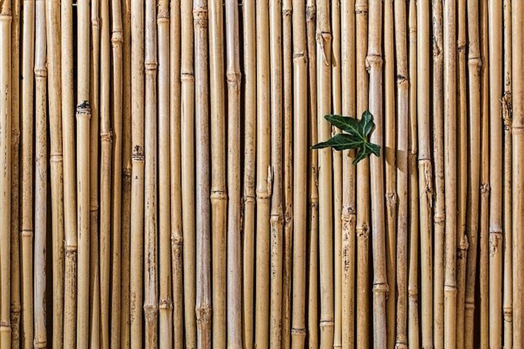 Crunchy Menopause - Bamboo
